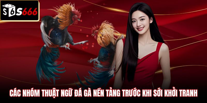 cac-nhom-thuat-ngu-da-ga-nen-tang-truoc-khi-soi-khoi-tranh Hệ thống thuật ngữ đá gà cơ bản và quy tắc sới bạc