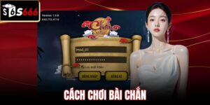 Nhận diện mặt quân và thuật ngữ trong cách chơi bài chắn