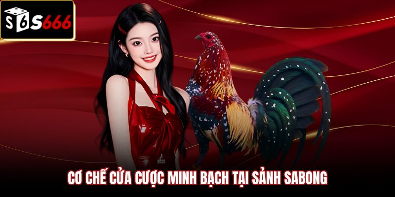 Hệ thống cửa cược minh bạch tại sảnh Sabong Đá Gà S666