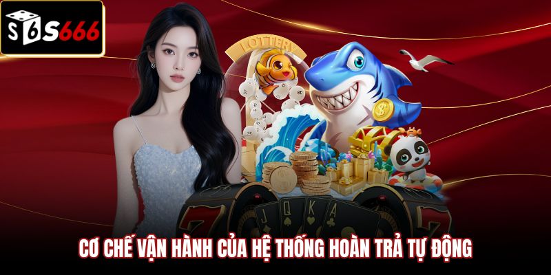 Hoàn Trả Tổng Cược S666 | Rút Ngay 2.5% Không Vòng Cược 2 Quy trình phân bổ hoàn trả tổng cược S666 tự động