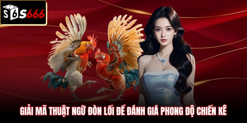 giai-ma-thuat-ngu-don-loi-de-danh-gia-phong-do-chien-ke Bộ thuật ngữ đá gà đòn lối và dấu hiệu thực chiến