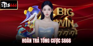 Quy trình phân bổ hoàn trả tổng cược S666 tự động
