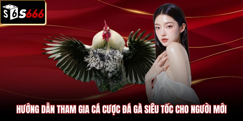 Hướng dẫn tân thủ tham gia cá cược Đá Gà S666 siêu tốc