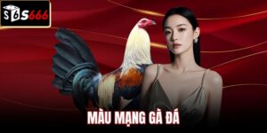 Bản mệnh phong thủy và màu mạng gà đá đặc trưng