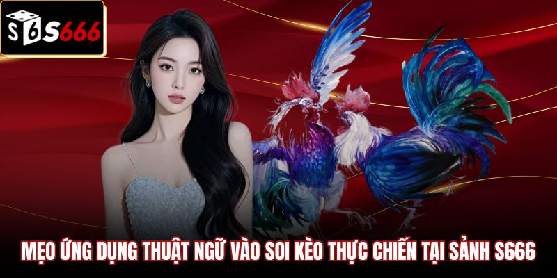 meo-ung-dung-thuat-ngu-vao-soi-keo-thuc-chien-tai-sanh-s666 Chiến thuật ứng dụng thuật ngữ đá gà vào soi kèo trực tiếp