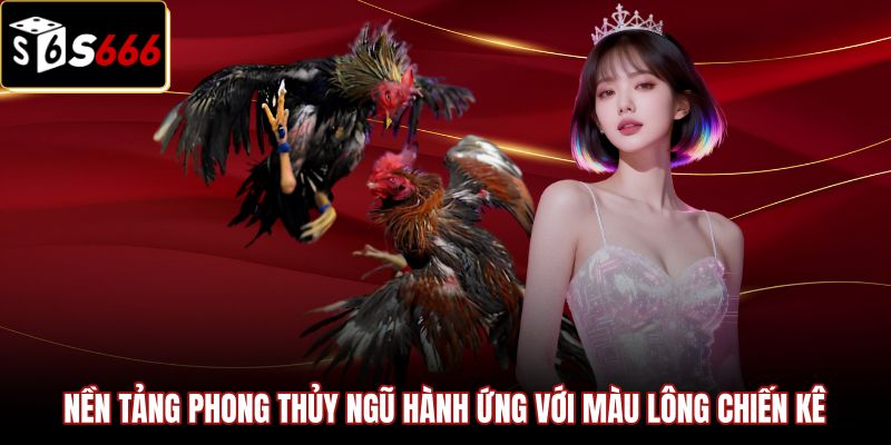 nen-tang-phong-thuy-ngu-hanh-ung-voi-mau-long-chien-ke Bản mệnh phong thủy và màu mạng gà đá đặc trưng
