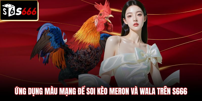 ung-dung-mau-mang-de-soi-keo-meron-va-wala-tren-s666 Chiến thuật dùng màu mạng gà đá soi kèo trực tiếp